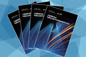 《从蓝图到伟业：中国企业数字化转型的思考与行动》