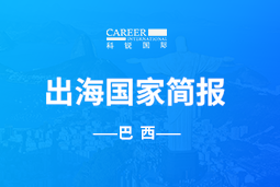 腾博专业服务诚信本GO GLOBAL | 巴西国家简报
