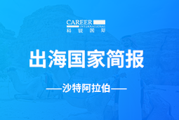 腾博专业服务诚信本GO GLOBAL | 沙特阿拉伯国家简报